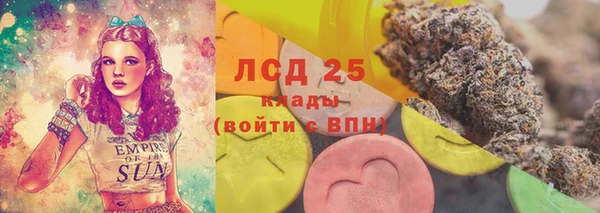 амф Инта