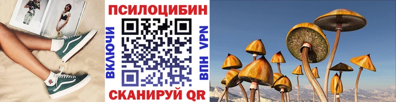 Купить  Борисоглебск  Псилоцибиновые грибы прущие грибы 